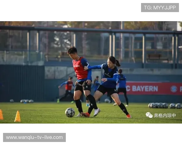 玩球直播足球直播免费防骗避坑电子真人规则技巧